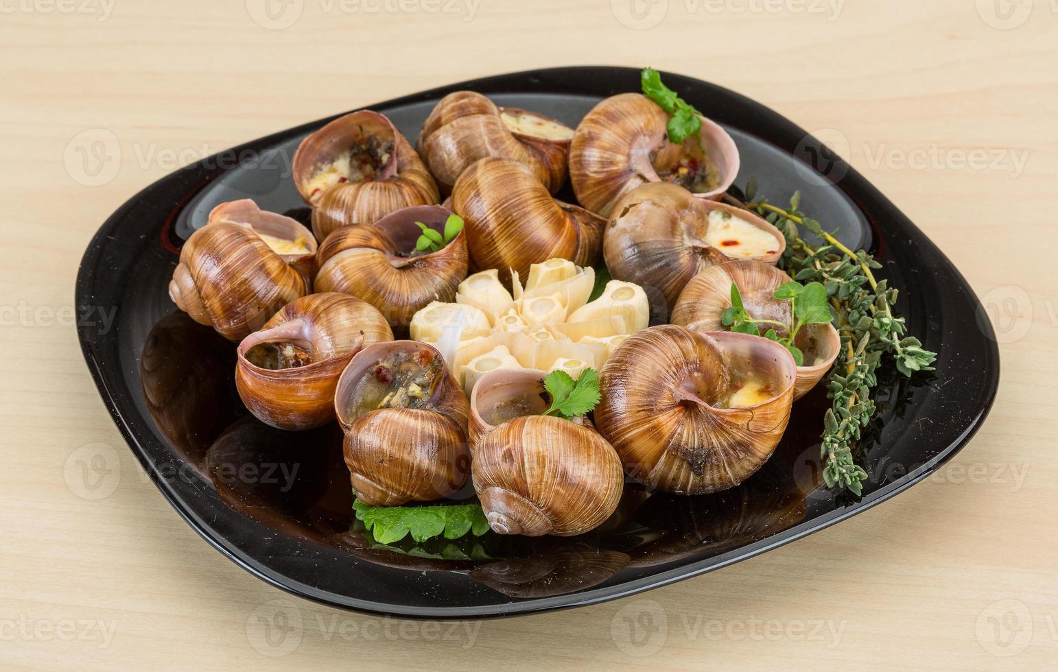 Escargot snails on a plate photo