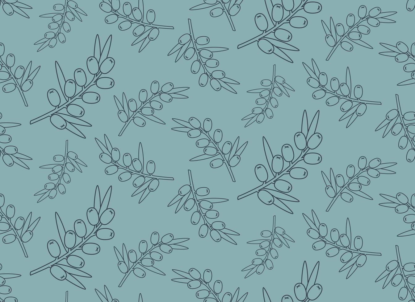 Seamless pattern with sea buckthorn. Texture with berries in outline style. vector