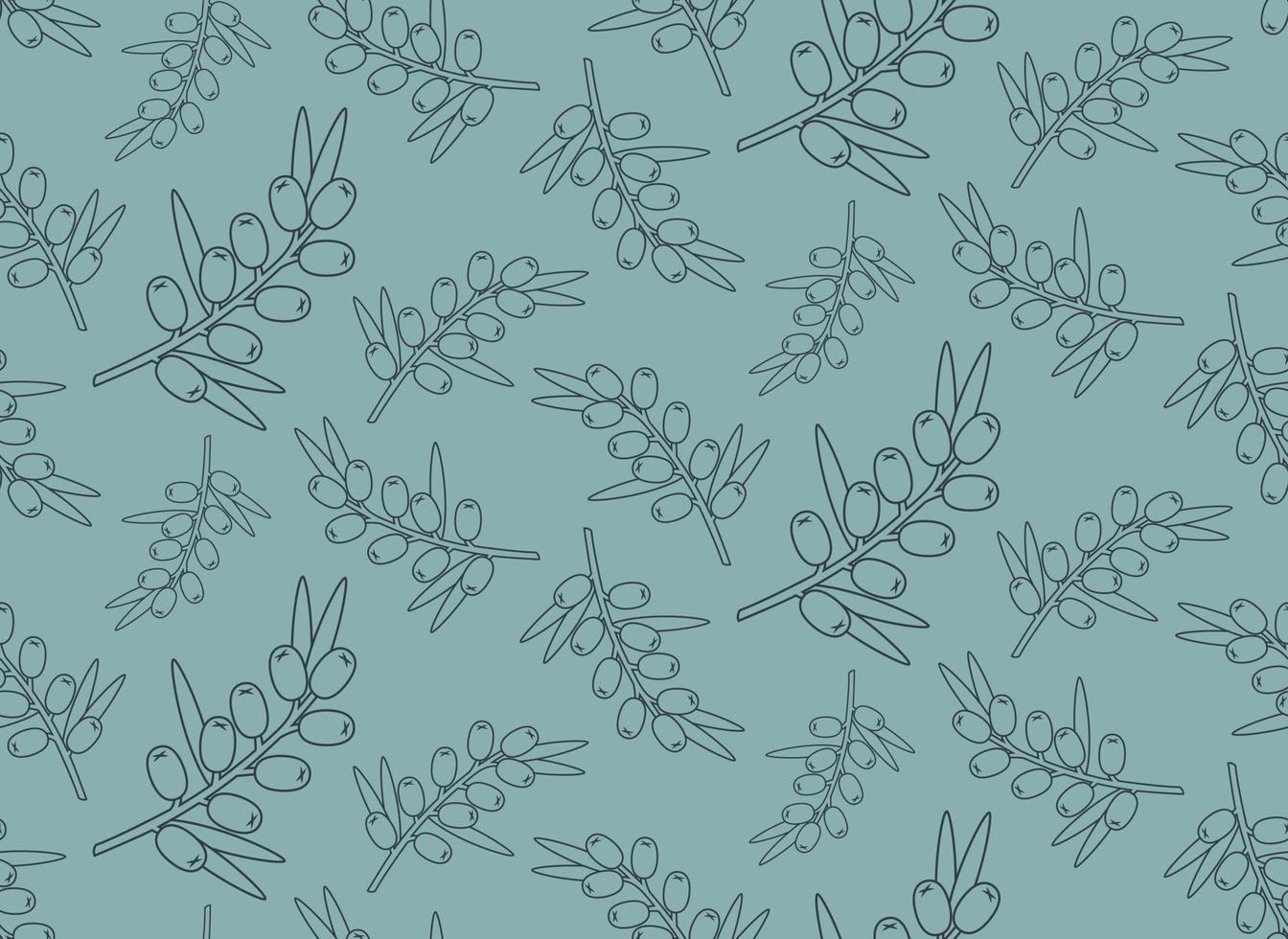 Seamless pattern with sea buckthorn. Texture with berries in outline style. vector