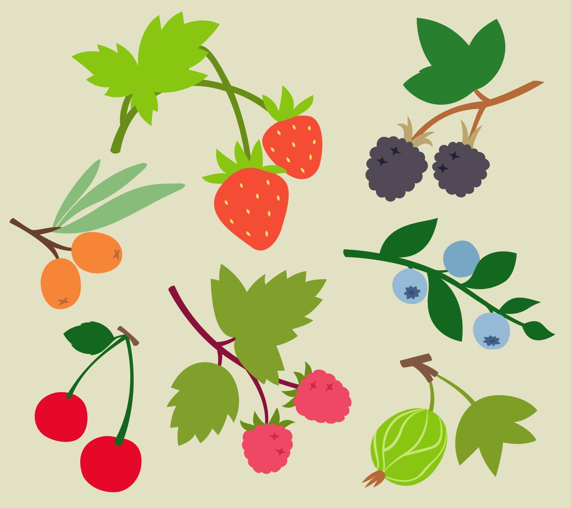 Collection of berries. Natural food in flat style. 10862269 Vector Art at Vecteezy