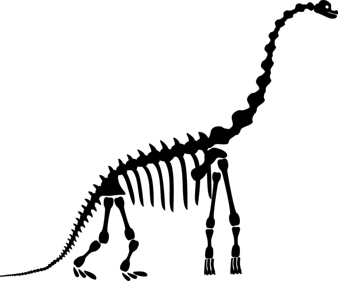 Diplodocus skeleton. Ancient prehistoric animal dinosaur. Big  animal of the prehistoric Mesozoic era. Illustration, drawing, engraving, ink, line art. Vector illustration in cartoon style