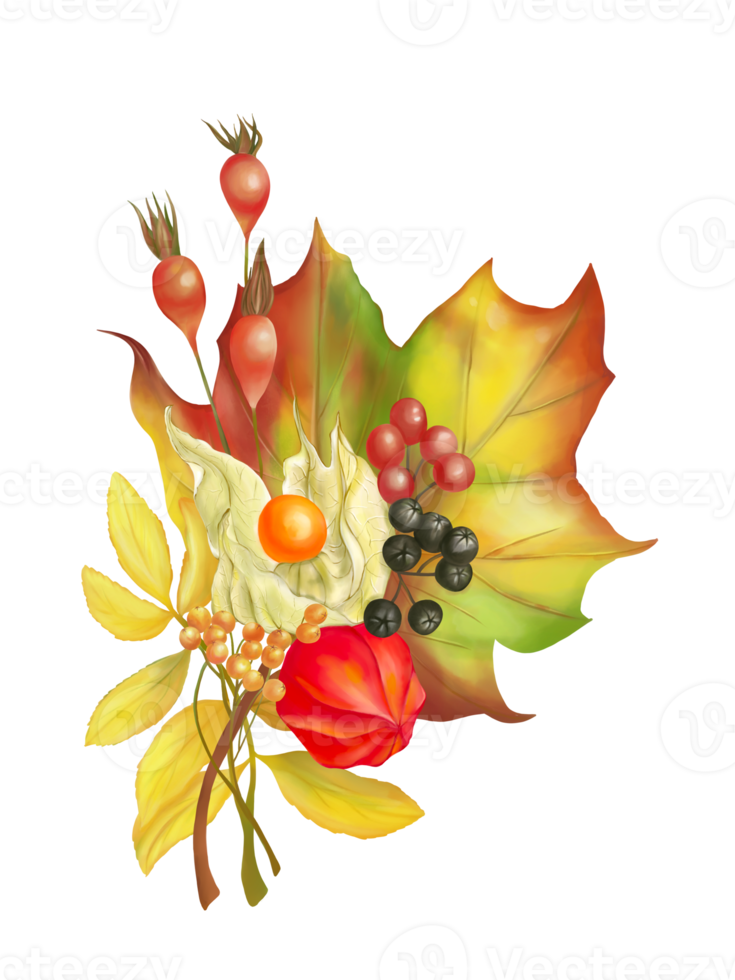 A bouquet of autumn and fall color plant, berries, Chinese lantern and leaves. Digital hand drawn and painted, isolated image. png