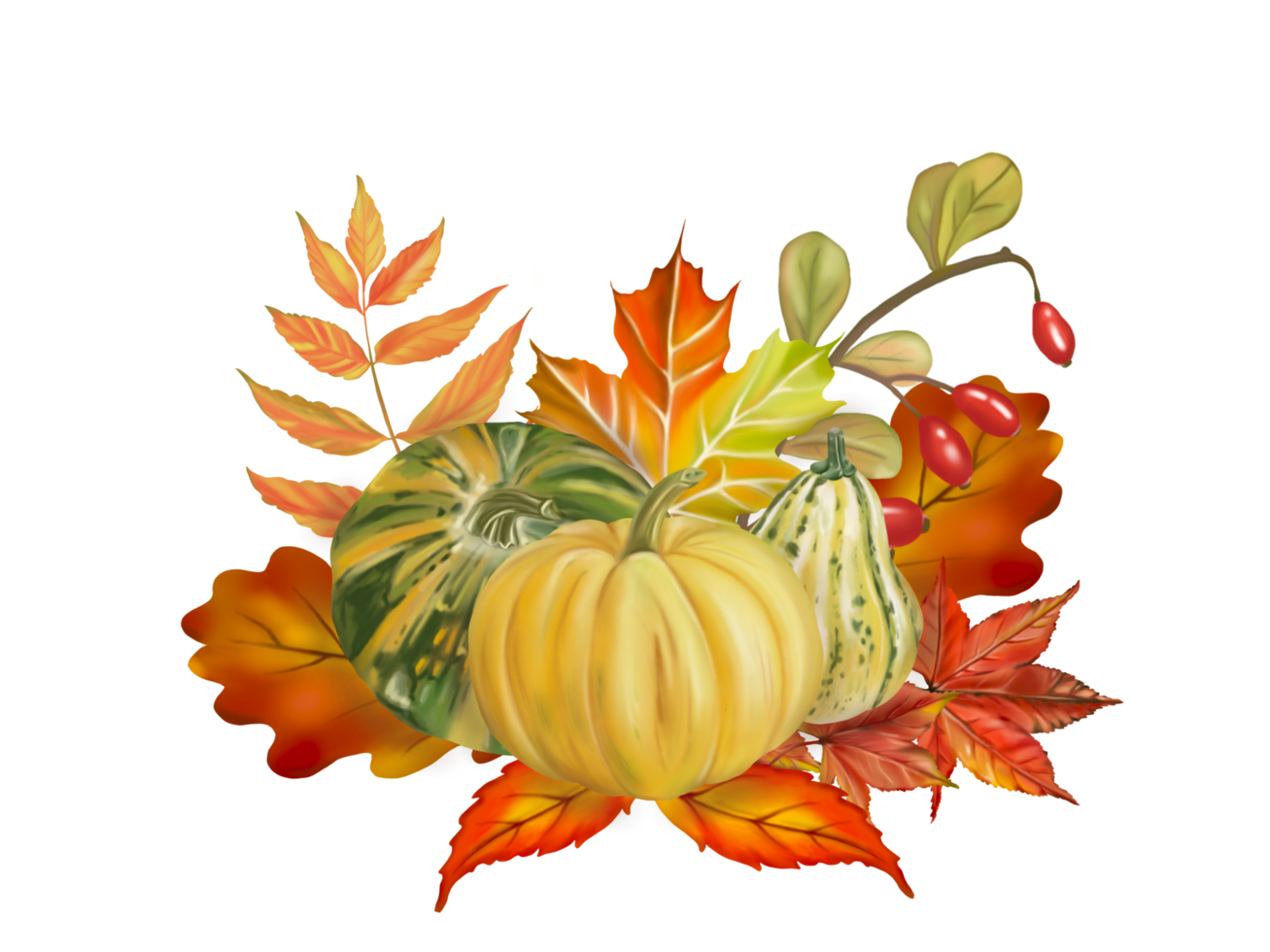 illustration. Autumn composition pumpkins and leaves, wild rose fruit in autumn and fall color.  Digital hand drawn and painted, isolated image. png