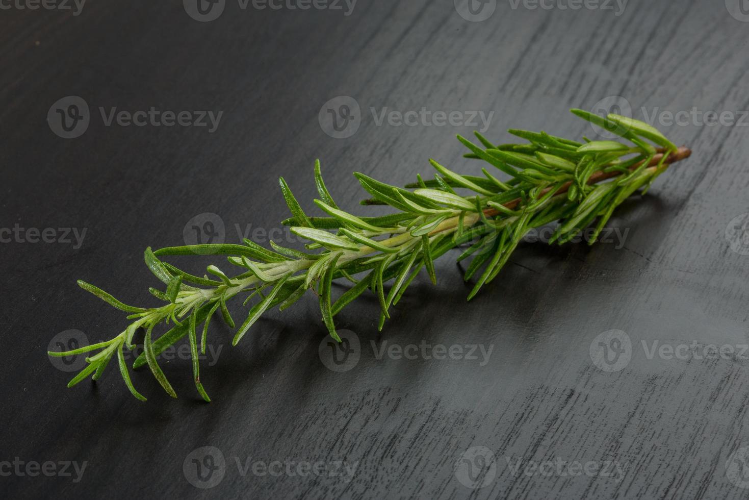 Rosemary plant on wooden background photo