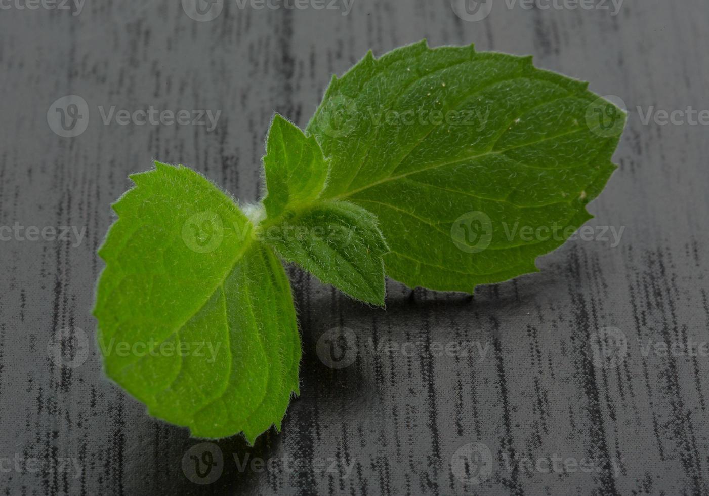 hojas de menta sobre fondo de madera foto