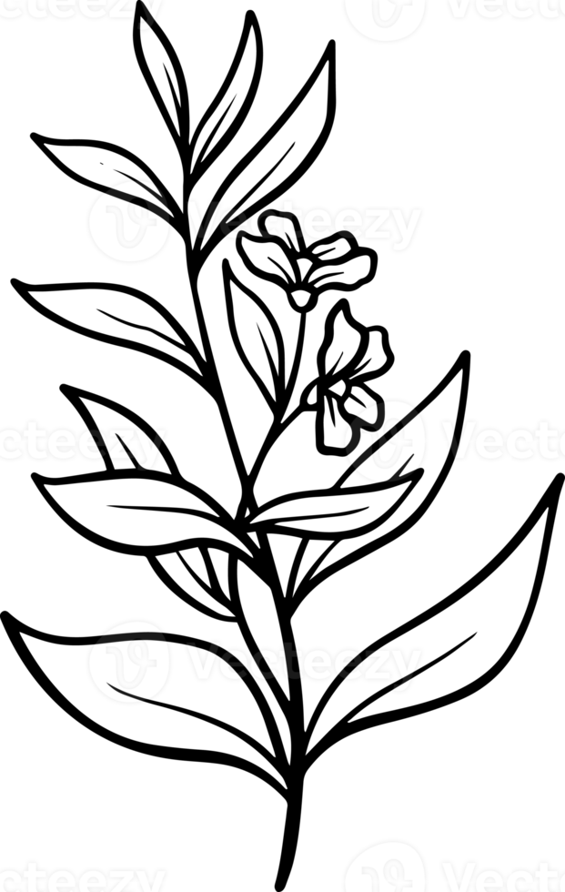 Hand Drawn Flower Sketch Line Art 10863305 PNG