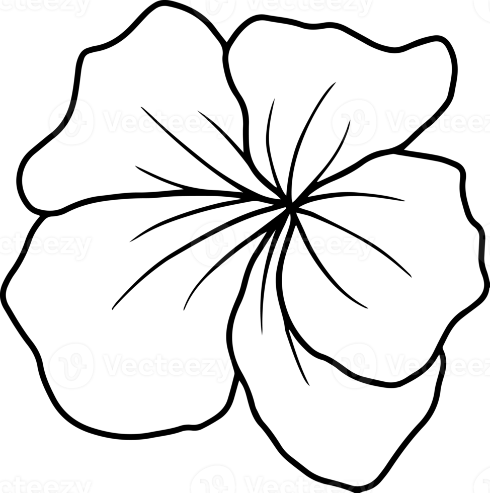 Flower Sketch Line Art Illustration 10863310 PNG