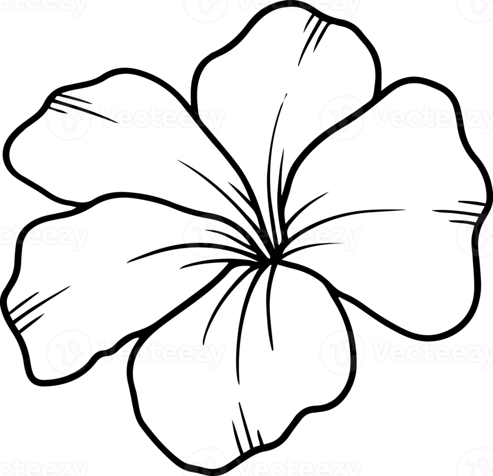 Hand Drawn Flower Sketch Line Art 10863410 PNG