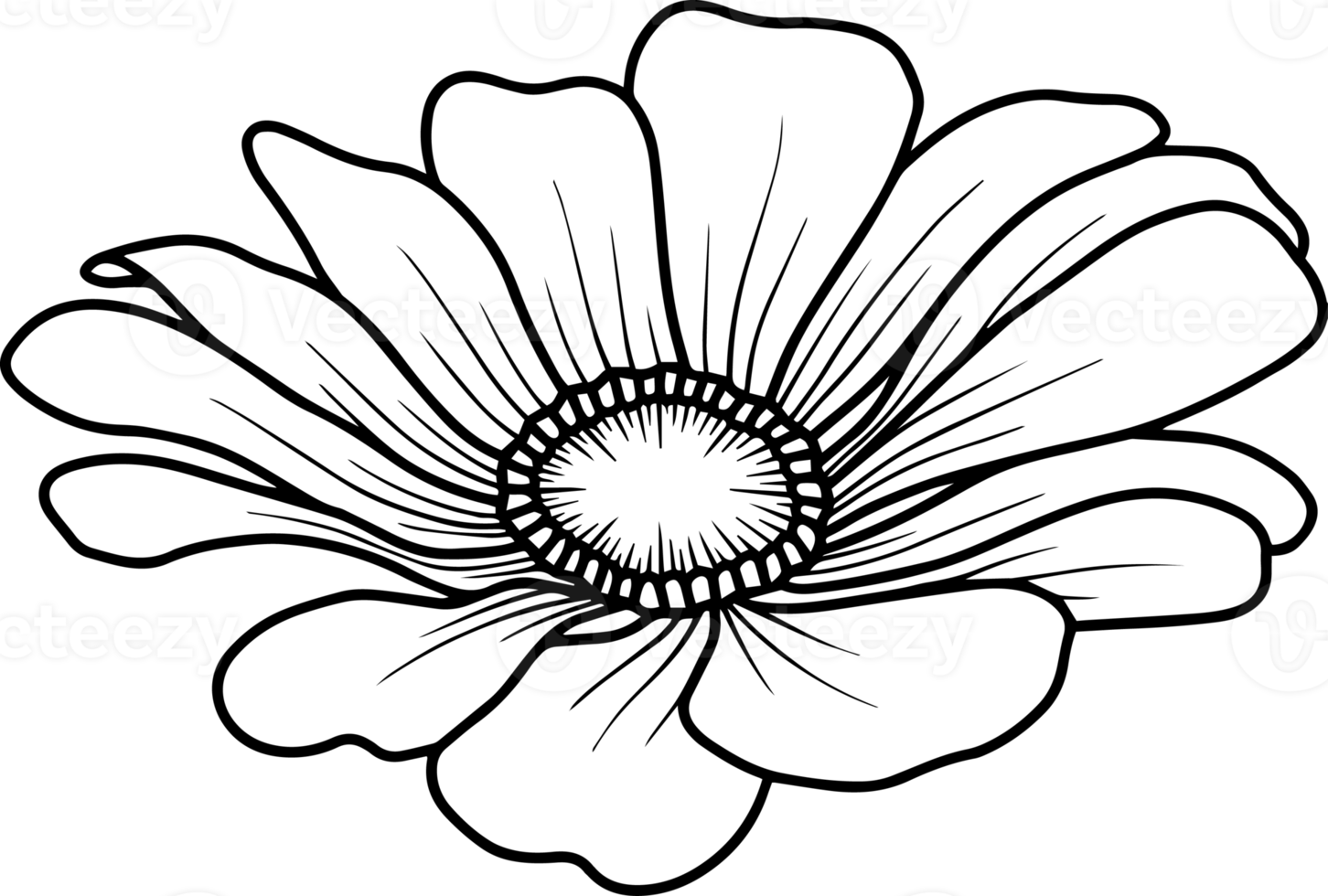 Hand Drawn Flower Sketch Line Art 10863424 PNG