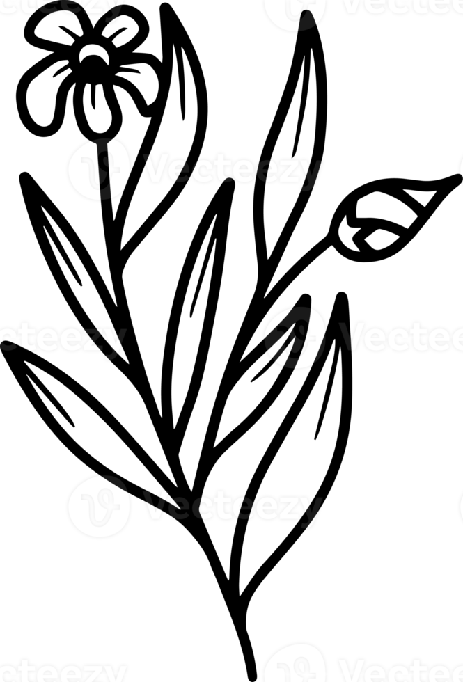 Hand Drawn Flower Sketch Line Art Illustration 10863557 PNG