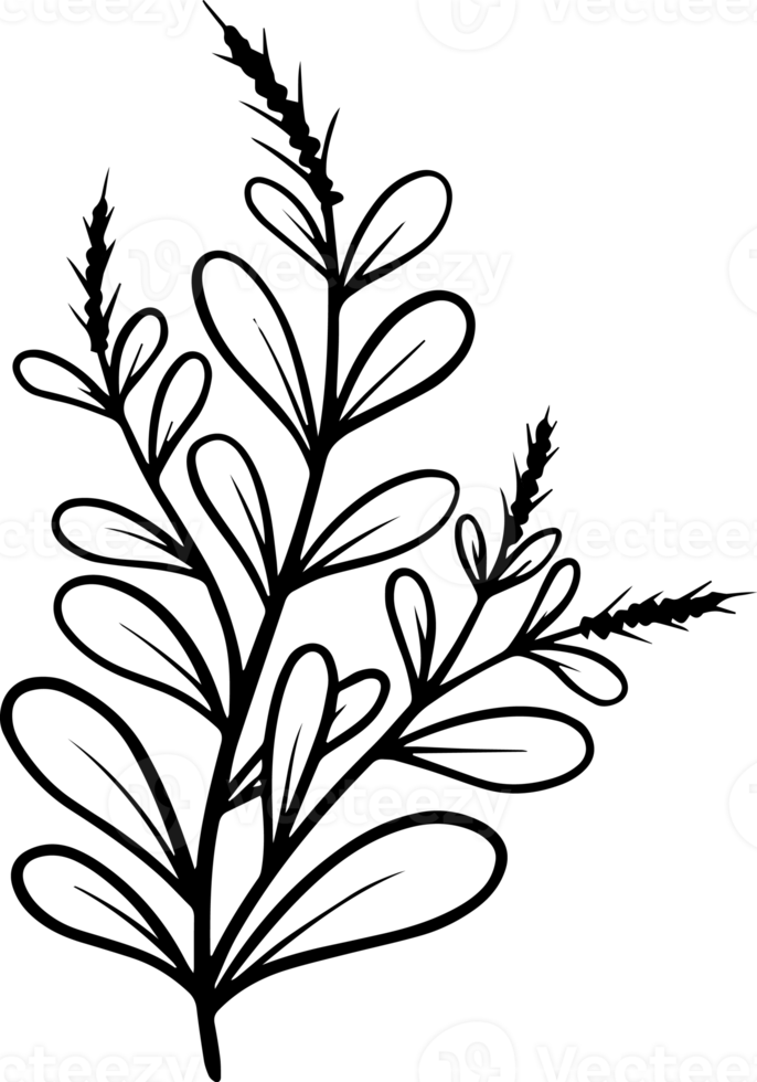 Hand Drawn Flower Sketch Line Art 10863583 PNG