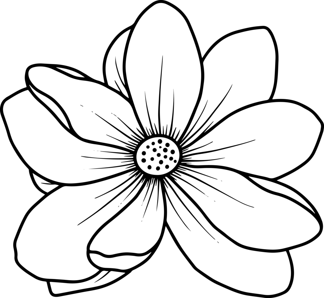 Lotusblume Skizze Strichzeichnungen png