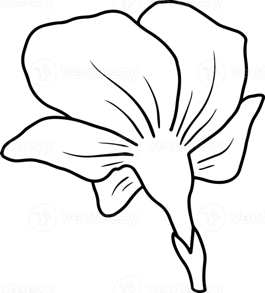 Flower Sketch Line Art Illustration 10863760 PNG