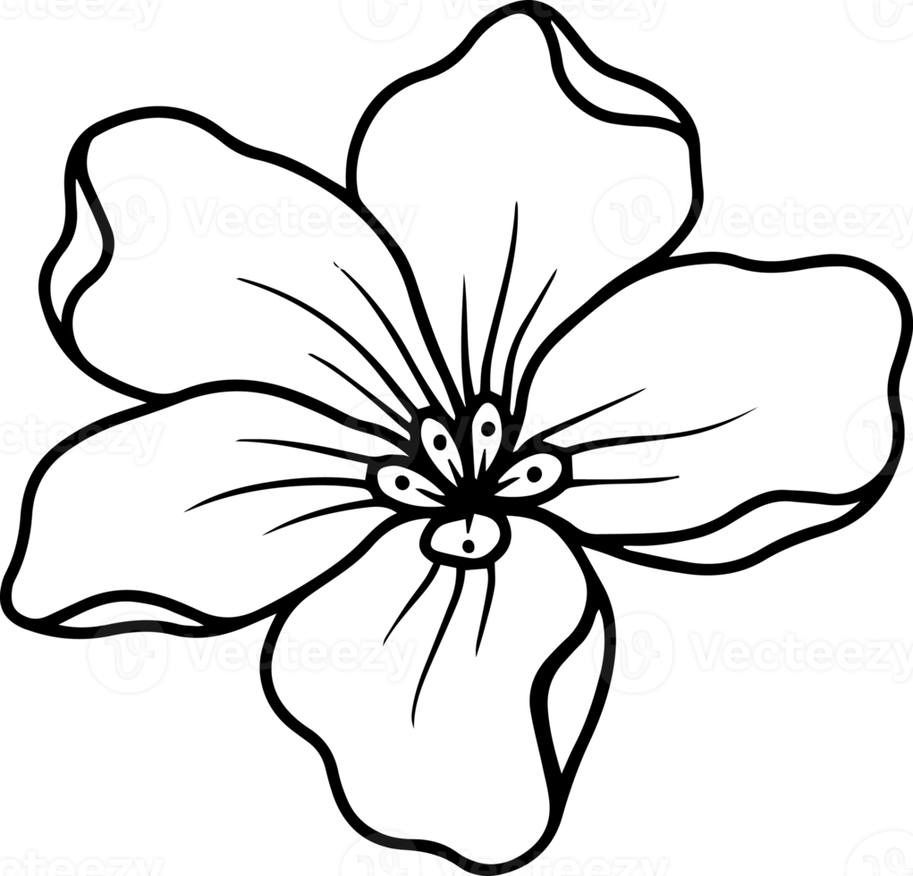 Flower Sketch Line Art Illustration 10863792 PNG