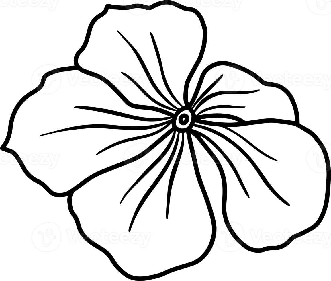 Flower Sketch Line Art Illustration 10863807 PNG