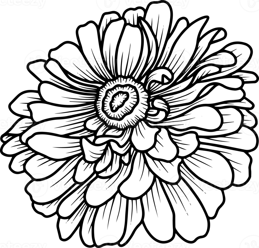 Hand Drawn Flower Sketch Line Art 10863846 PNG