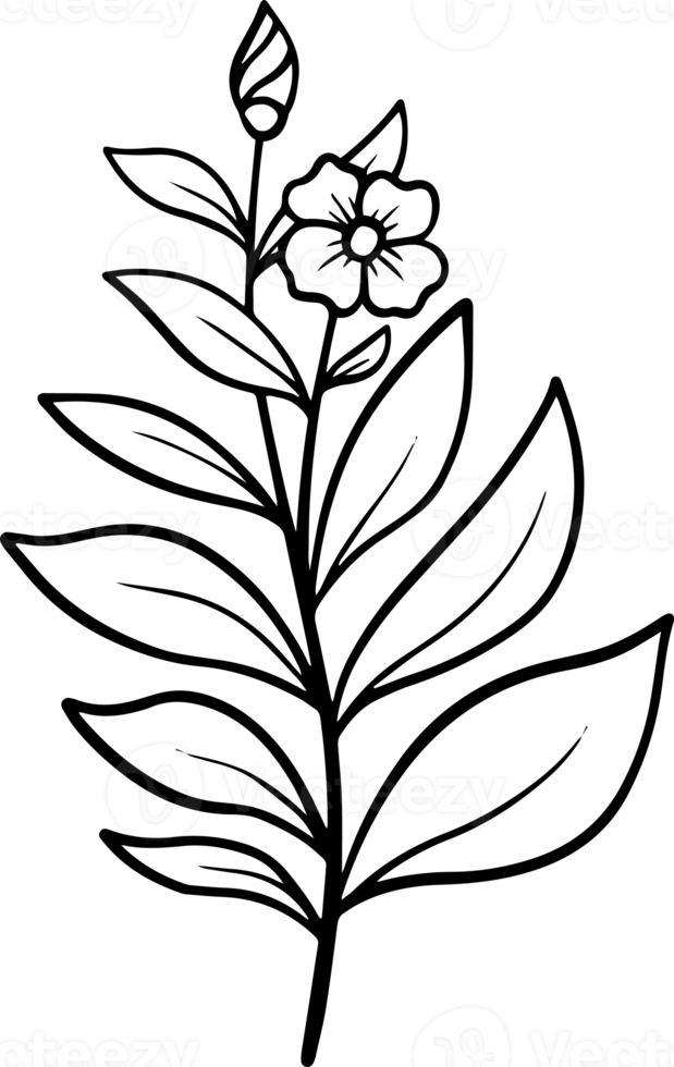 Hand Drawn Flower Sketch Line Art 10863849 PNG