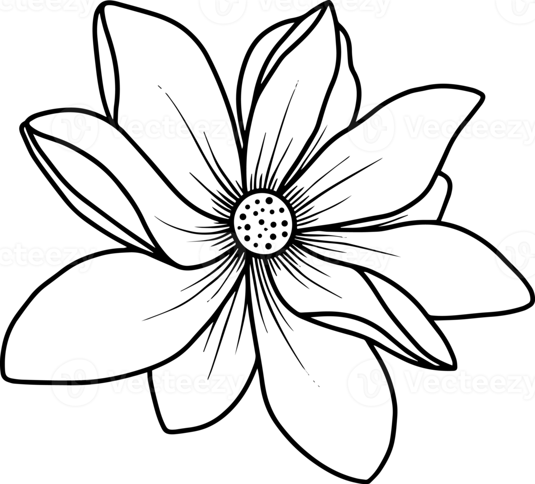 Flower Sketch Line Art Illustration 10863943 PNG