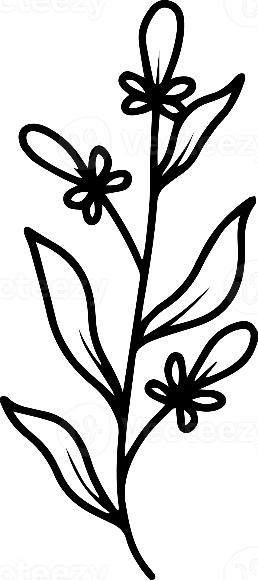 Flowers Sketch Line Art Illustration 10863983 PNG