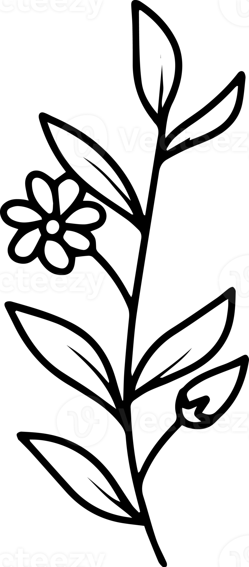 Flowers Sketch Line Art Illustration 10864008 PNG