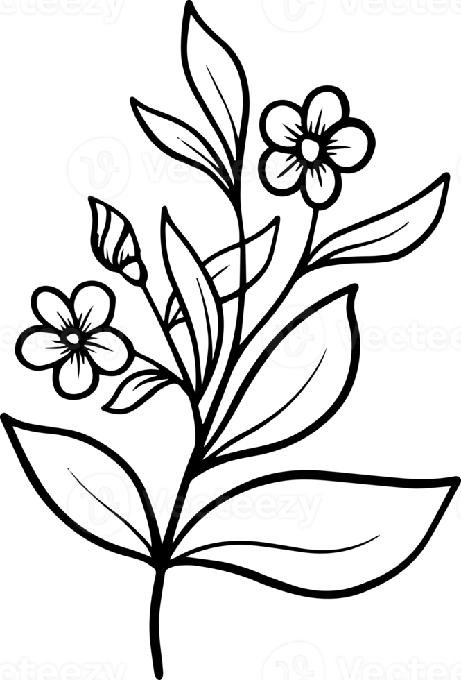 Line Art Flower Illustration 10864141 PNG