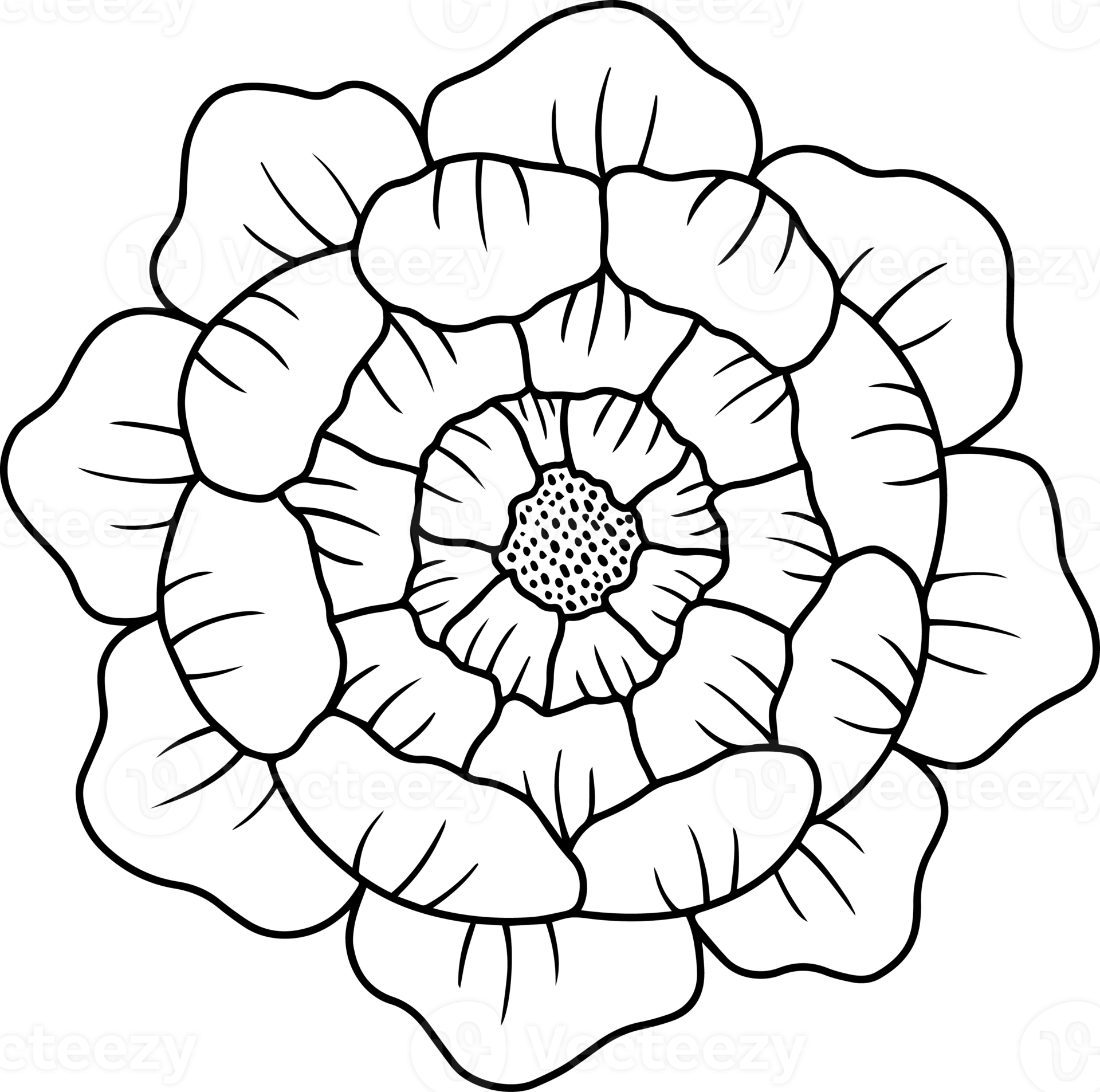 Hand Drawn Rose Flower Sketch Line Art 10864157 PNG