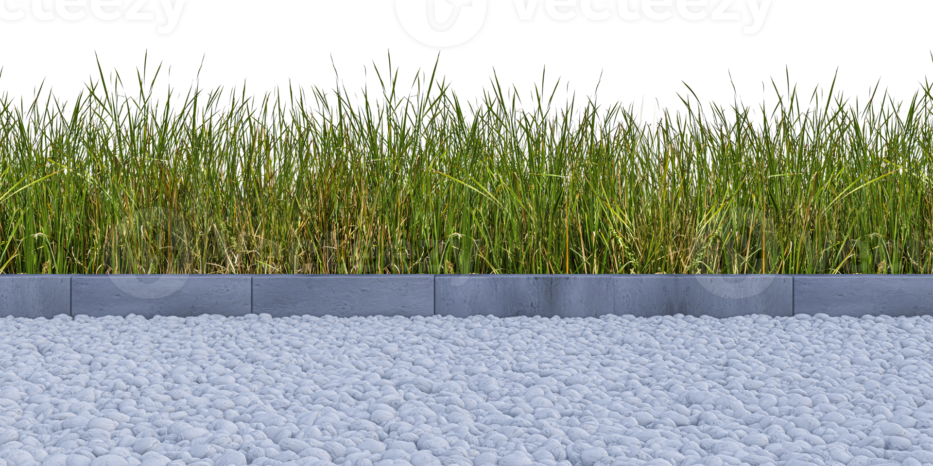 mockup beeld van 3d renderen groen kleur wild grassen veld- png