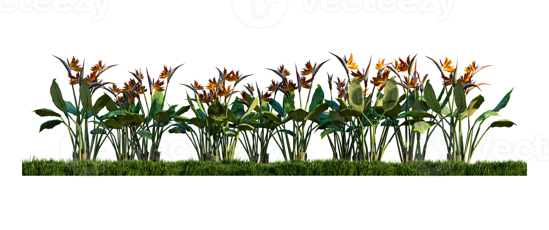 A 3d rendering image of birs of paradise on green grasses field png