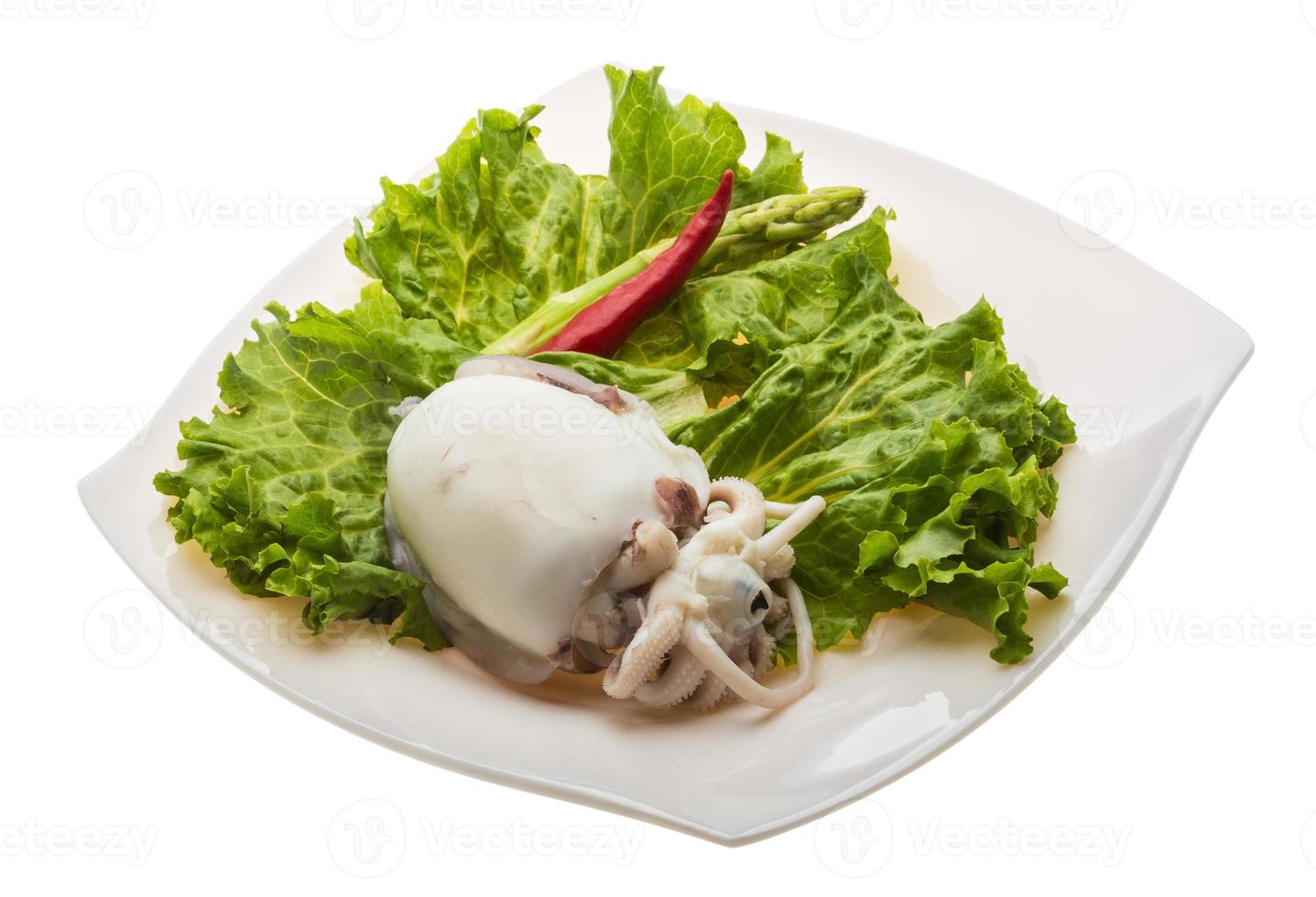 Boiled cuttlefish on the plate and white background photo