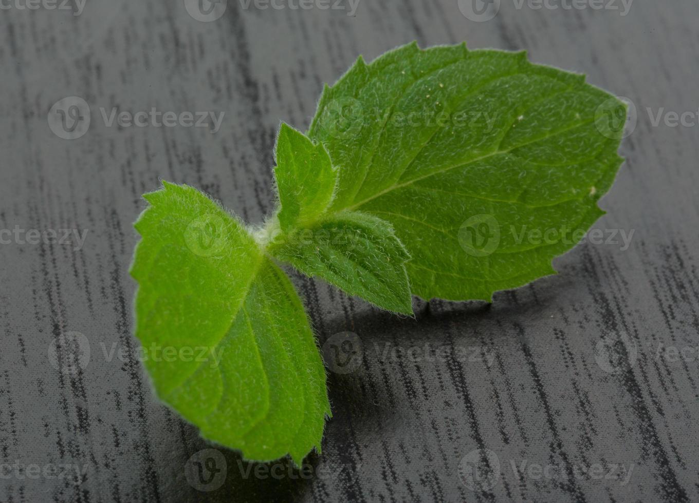 Mint leaves on wooden background photo