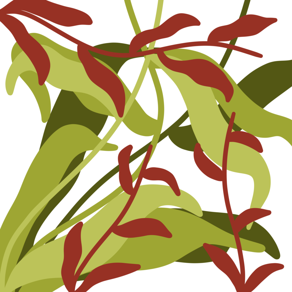 decorative Aesthetic Leaf png