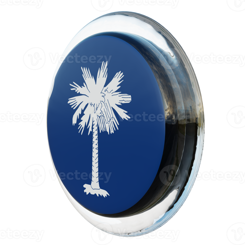 South Carolina Right View 3d textured glossy circle flag png