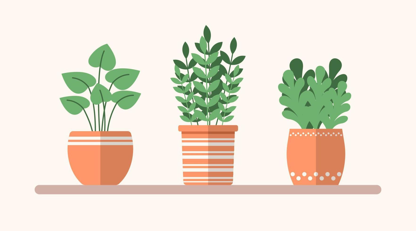 Vector green flat plants in pots on the shelf. Simple interior illustration and floral icons