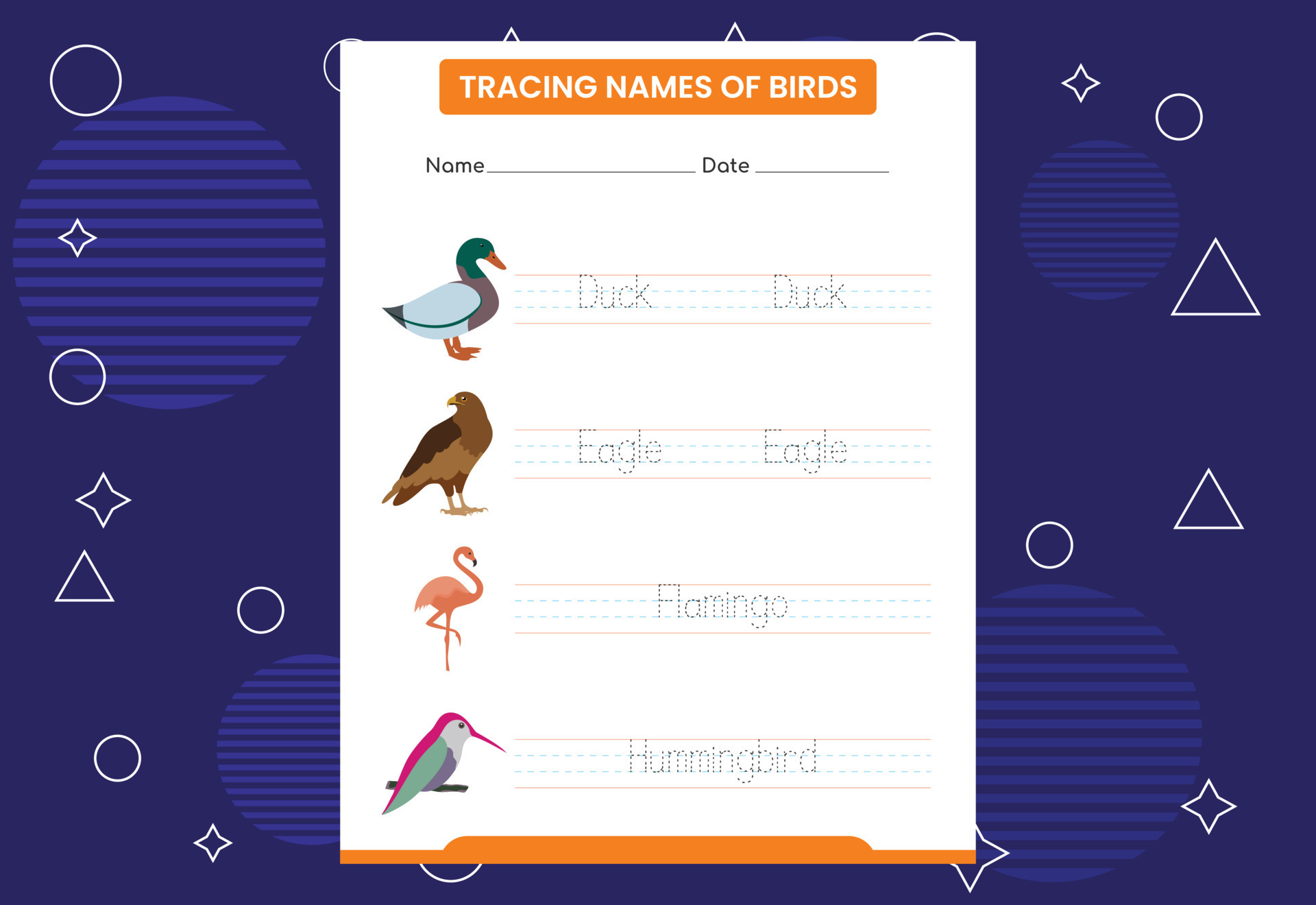 Trace the names of birds. Handwriting practice for preschool kids