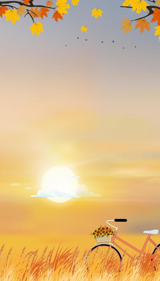 Autumn landscape forest with orange sky sunset,Vector Mid autumn