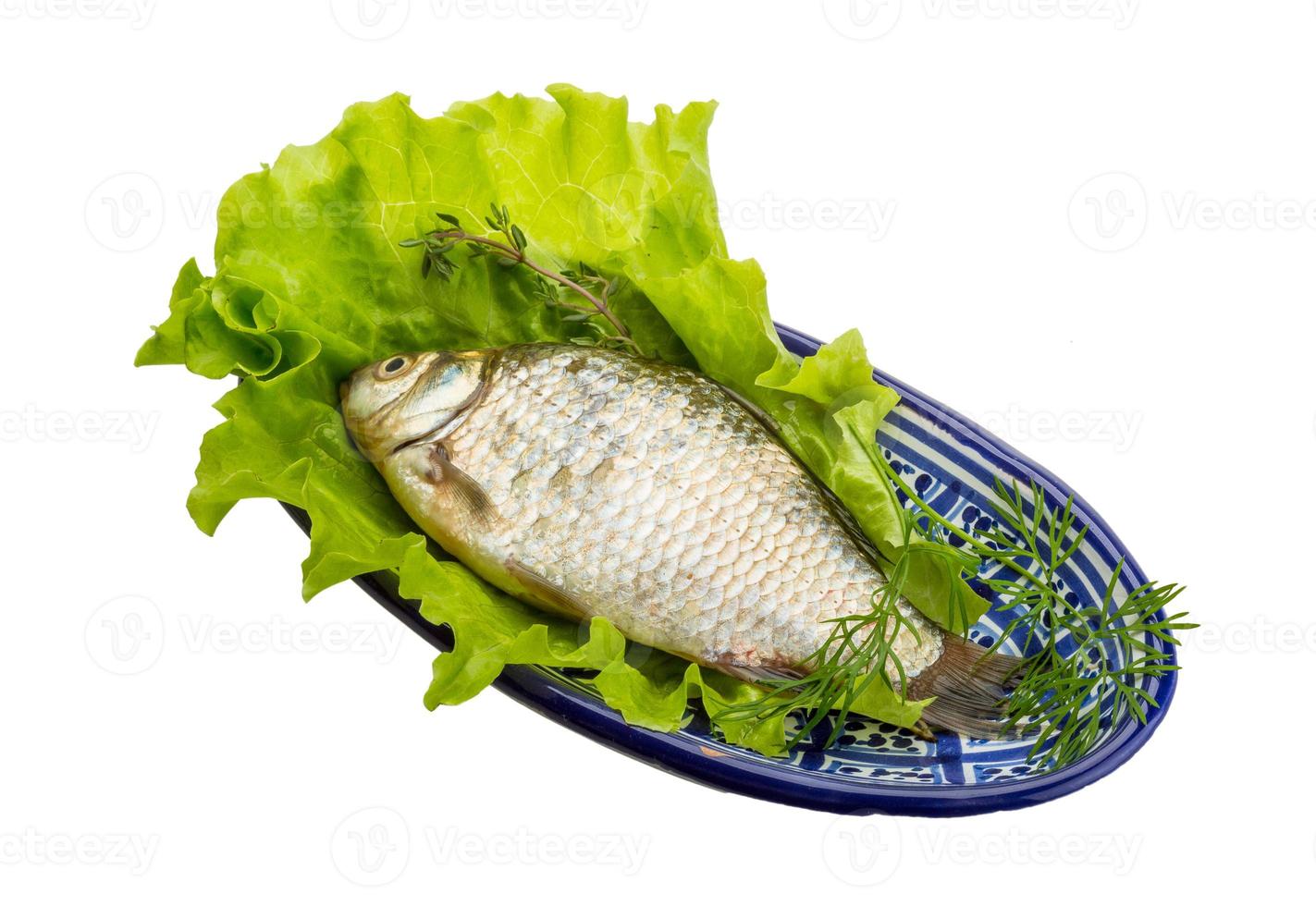 Crucian fish on the plate and white background photo