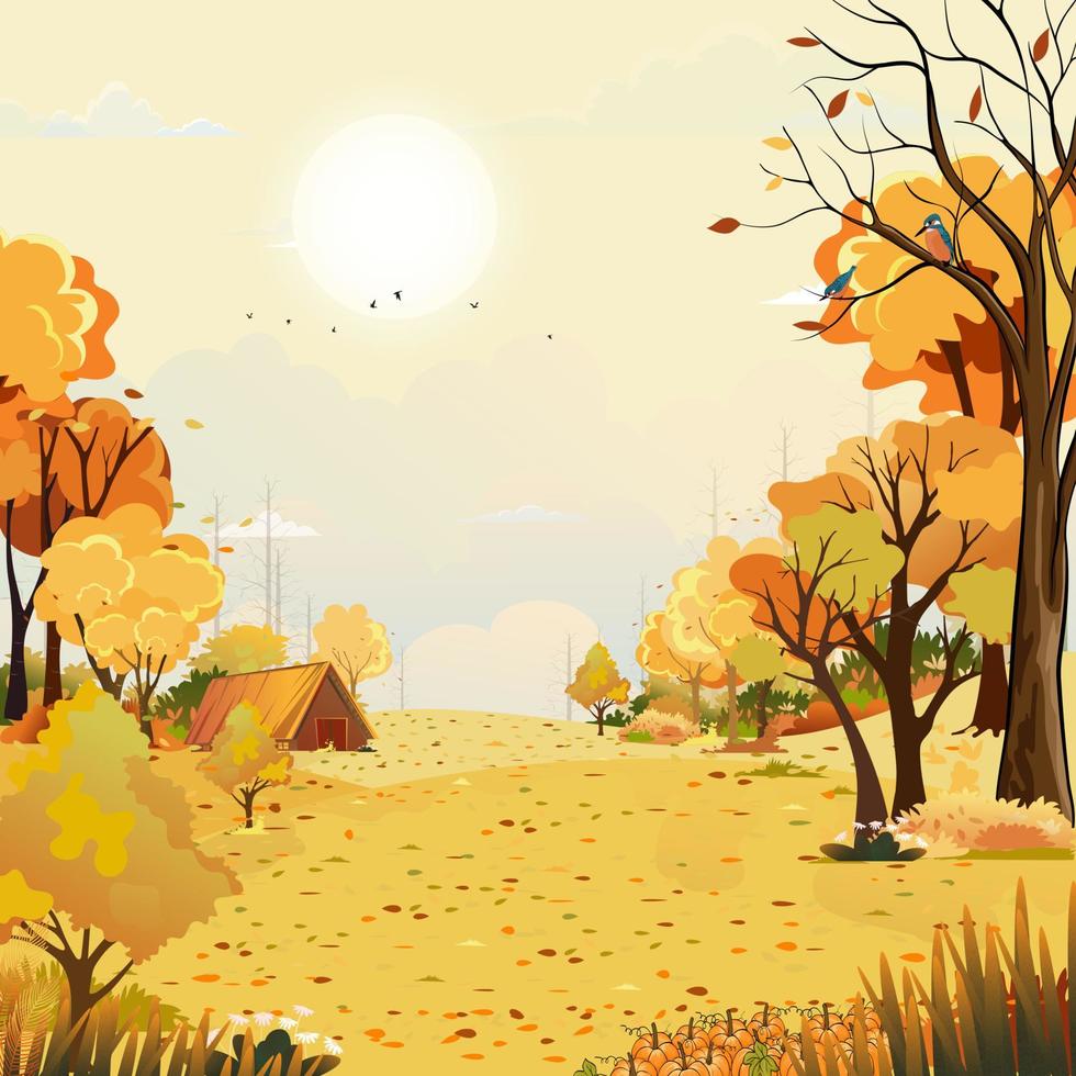 paisaje rural otoñal a la luz de la tarde con puesta de sol con fondo de cielo amarillo, campo de temporada de otoño de dibujos animados vectoriales con calabaza de árbol forestal en campo de hierba con amanecer, festival de cosecha de otoño vector