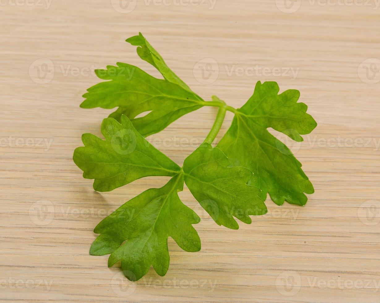 Celery leaves on wooden background 10866494 Stock Photo at Vecteezy