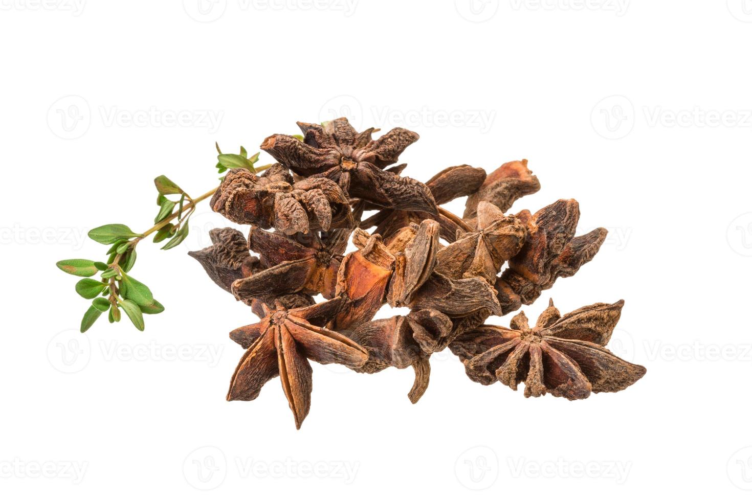 Star-anise on white background photo