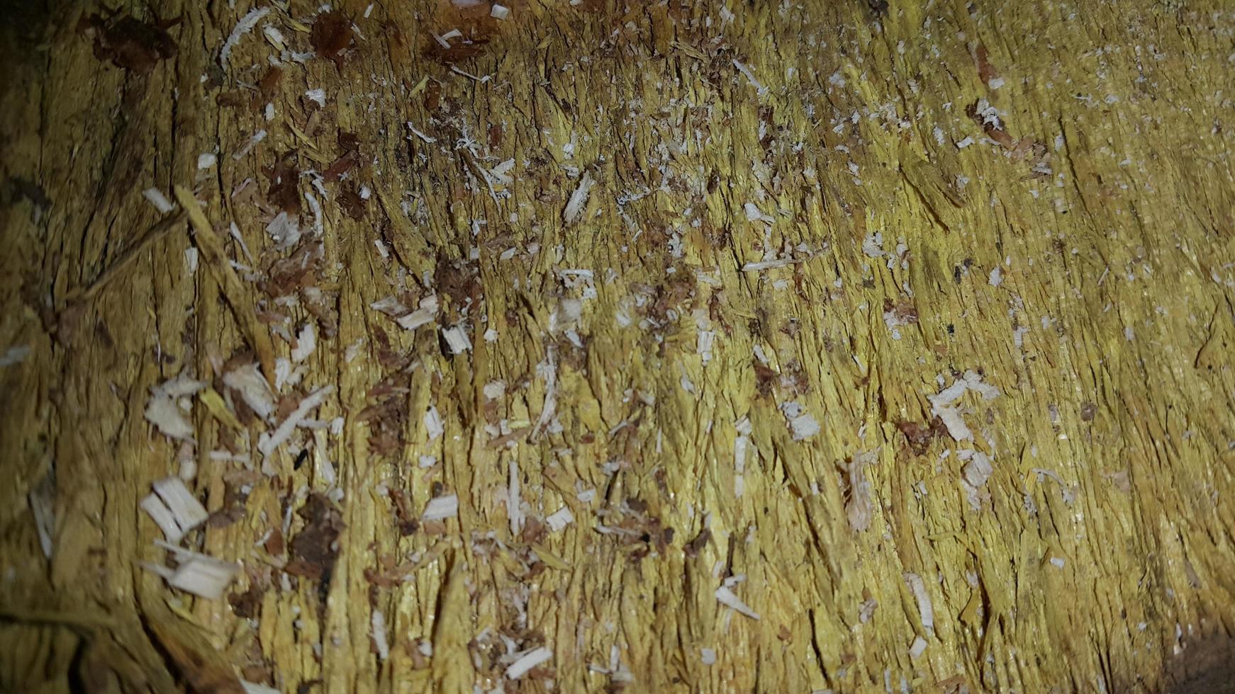 Simple wood texture background. photo