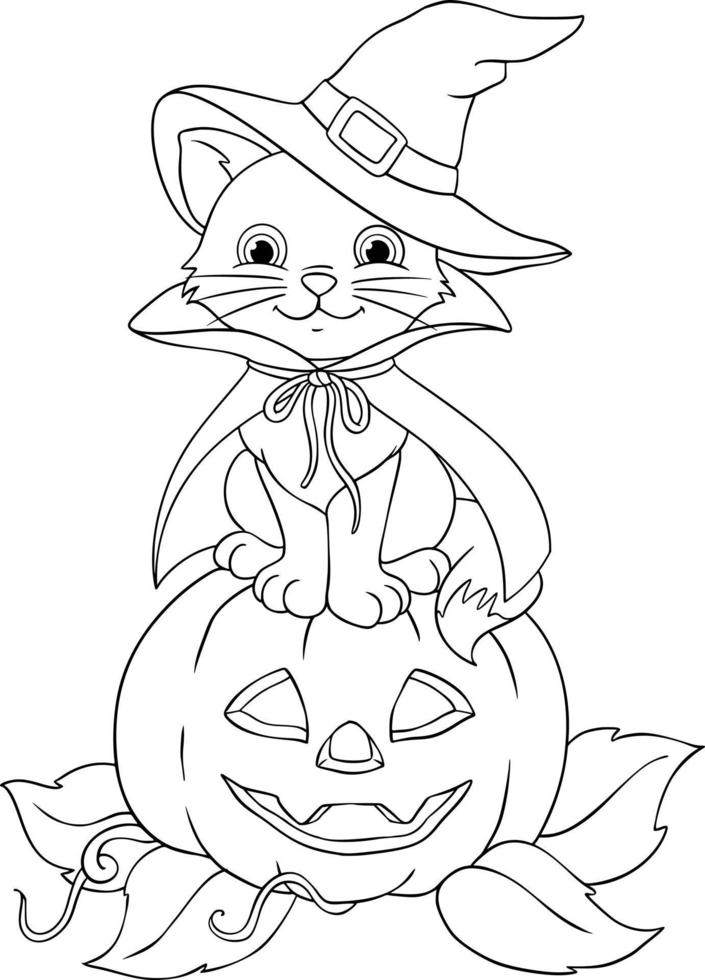 gato con sombrero de bruja en una calabaza de halloween vector