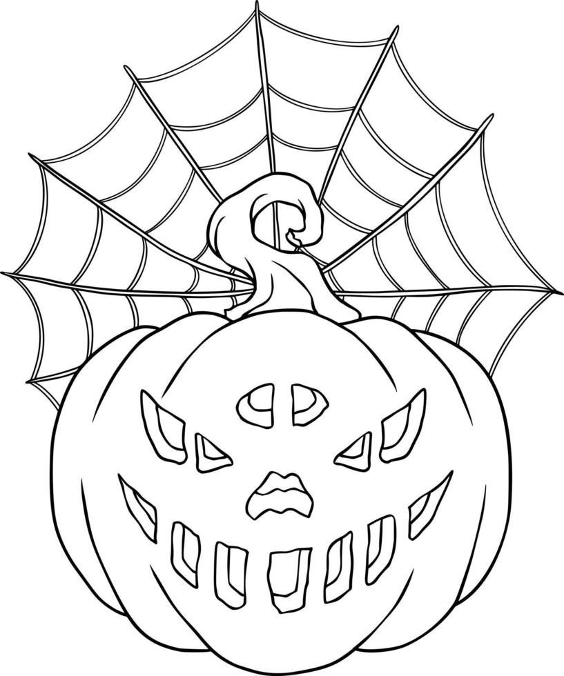 Pumpkin With Spier Web vector