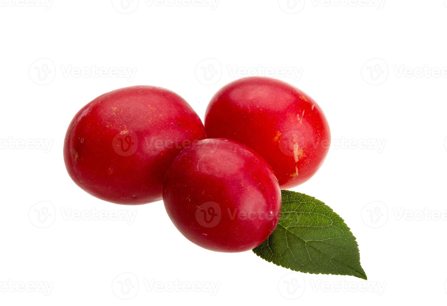 Damson plum on white background photo