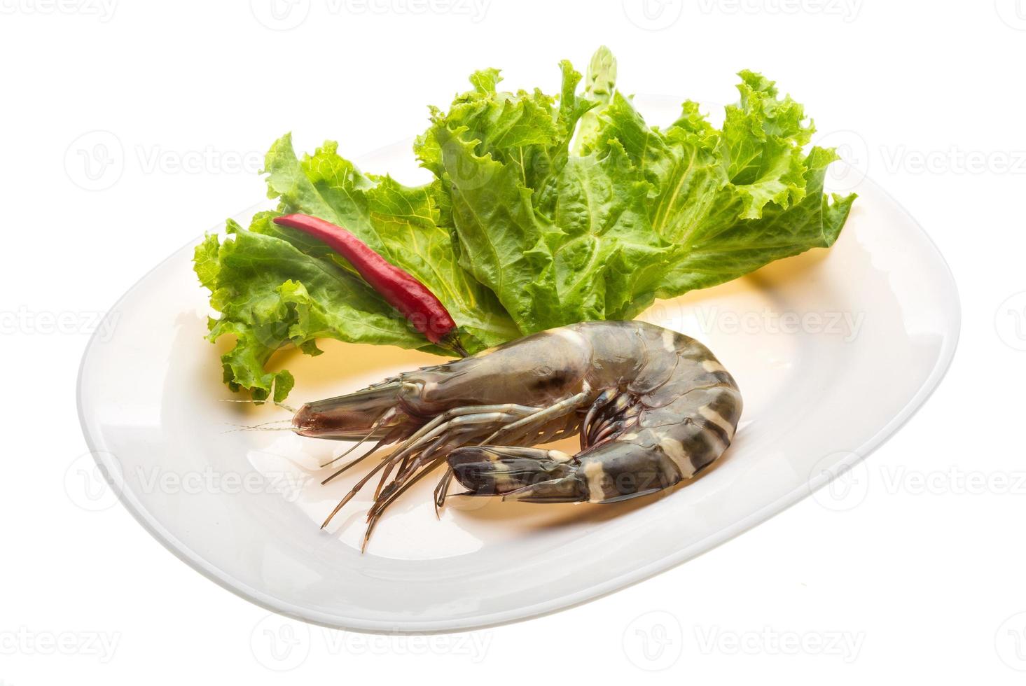 Tiger prawn Tiger prawn on the plate and white background photo