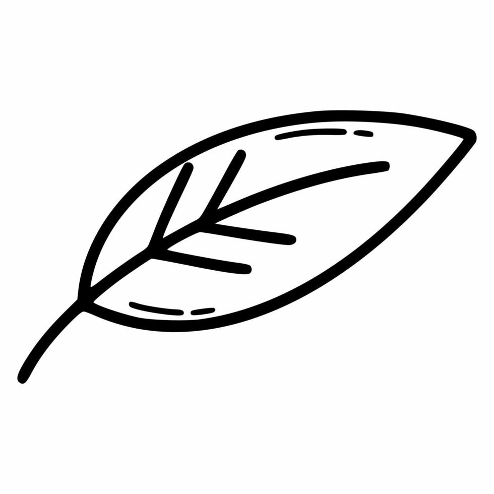 Autumn leaf. Contour illustration. Hand drawn sketch. vector