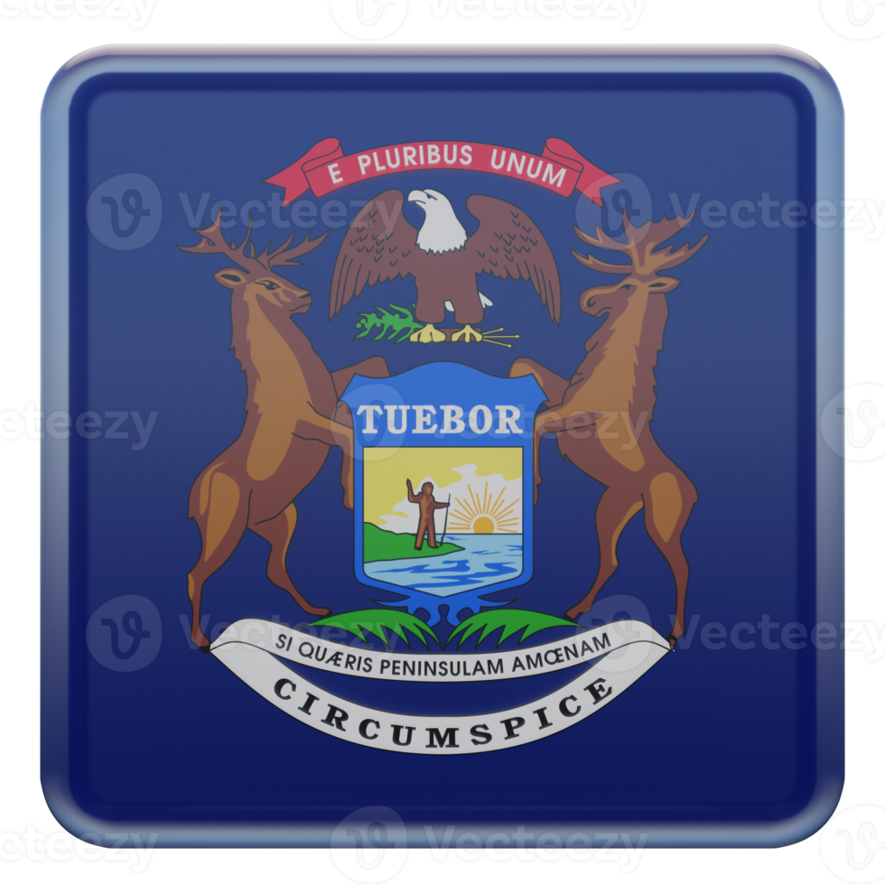 Michigan 3d textured glossy square flag png