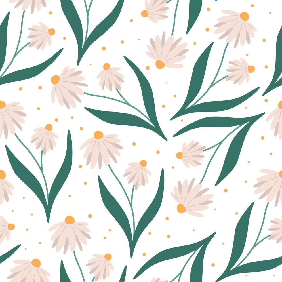 Chamomile summer or spring seamless pattern, flat vector illustration on white background. Cute daisy flowers. Floral repeated pattern.