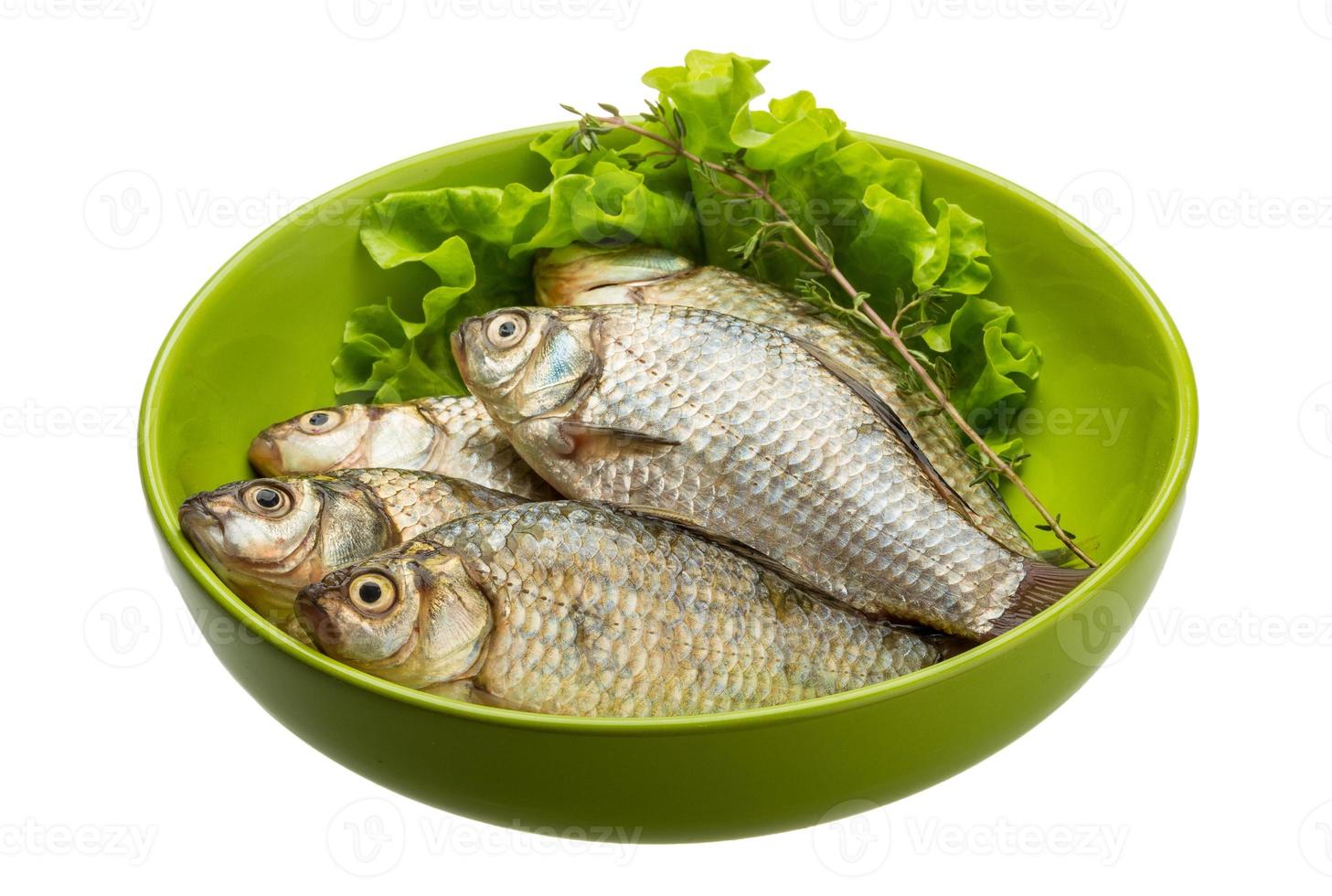 Crucian fish in a bowl on white background photo