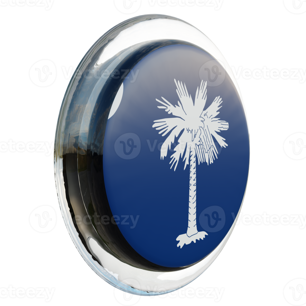 South Carolina Left View 3d textured glossy circle flag png