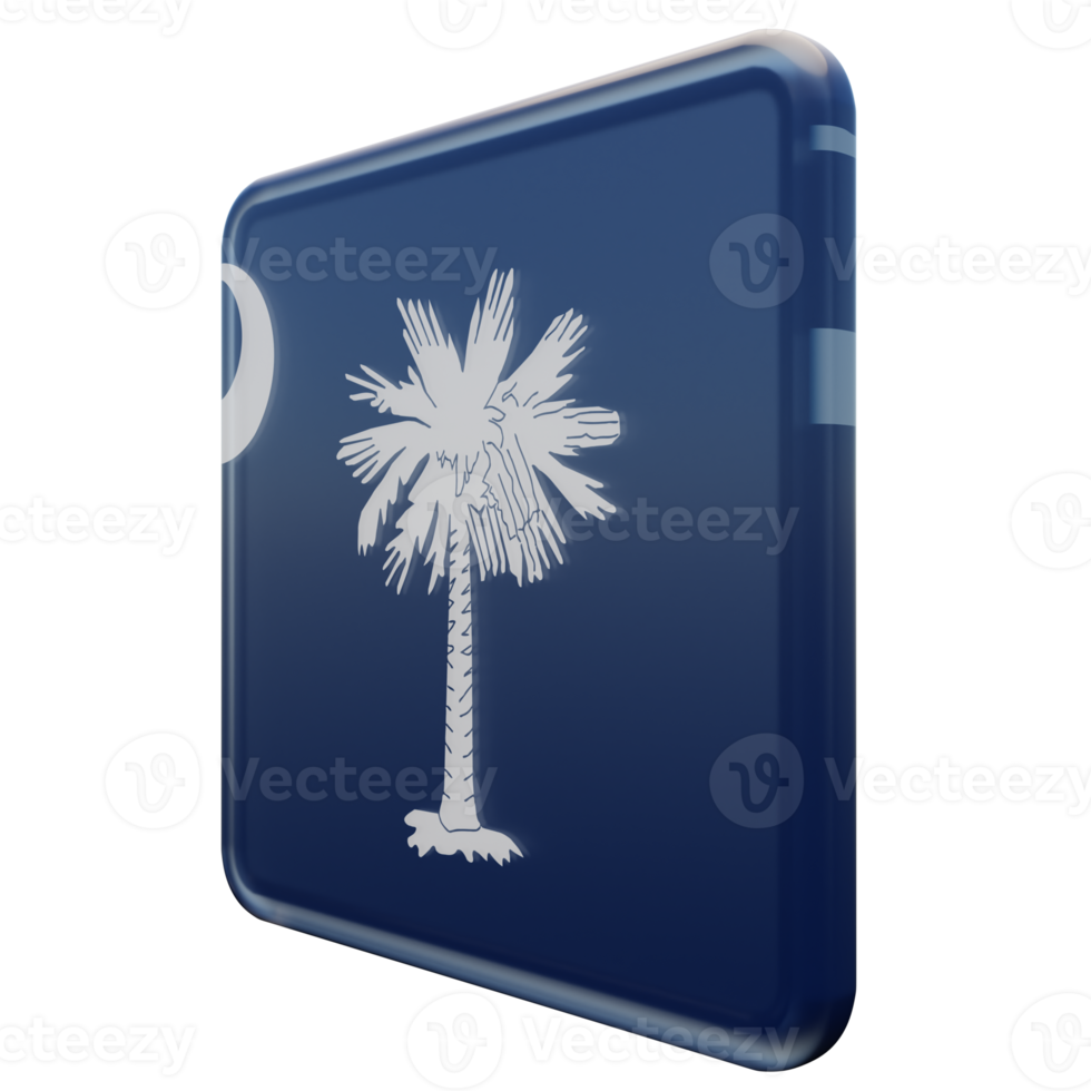 South Carolina Right View 3d textured glossy square flag png